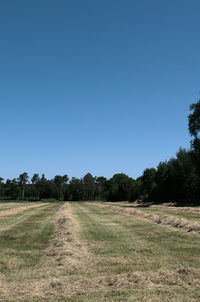 Scenic view of field against clear blue sky