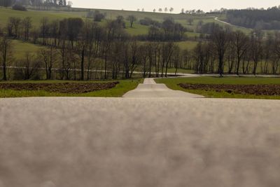 Surface level of road amidst trees against sky