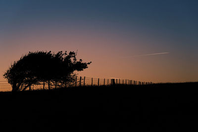 Silhouette trees on field against clear sky at sunset