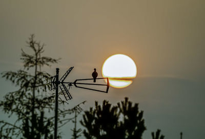 Low angle view of silhouette bird against sunset sky