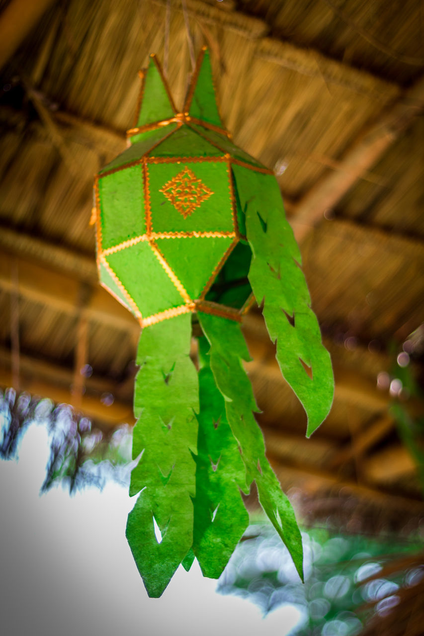 CLOSE-UP OF CHRISTMAS TREE WITH LEAVES