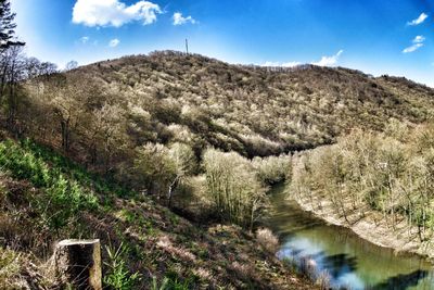 Scenic view of river amidst trees against sky