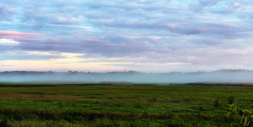 Scenic view of field against sky