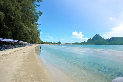 Scenic view of beach against blue sky