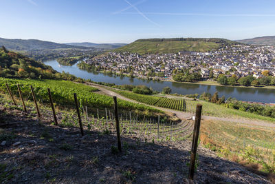 Scenic view of vineyard against sky