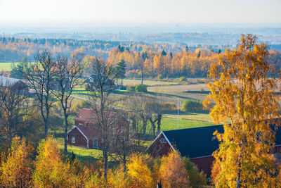 Scenic view of trees by houses during autumn