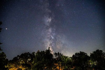 Low angle view of trees against sky at night