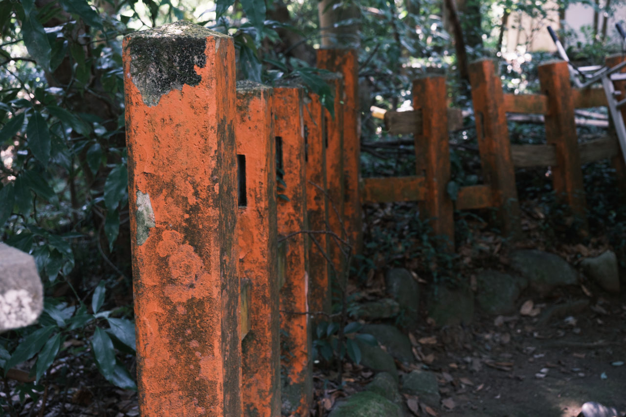 CLOSE-UP OF RUSTY METAL FENCE AGAINST TREES