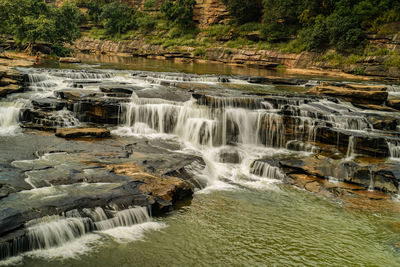 Scenic view of waterfall in forest