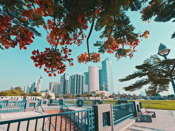 Buildings in city
