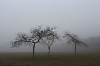 Scenic view of field in foggy weather