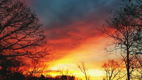 Silhouette of bare tree against dramatic sky