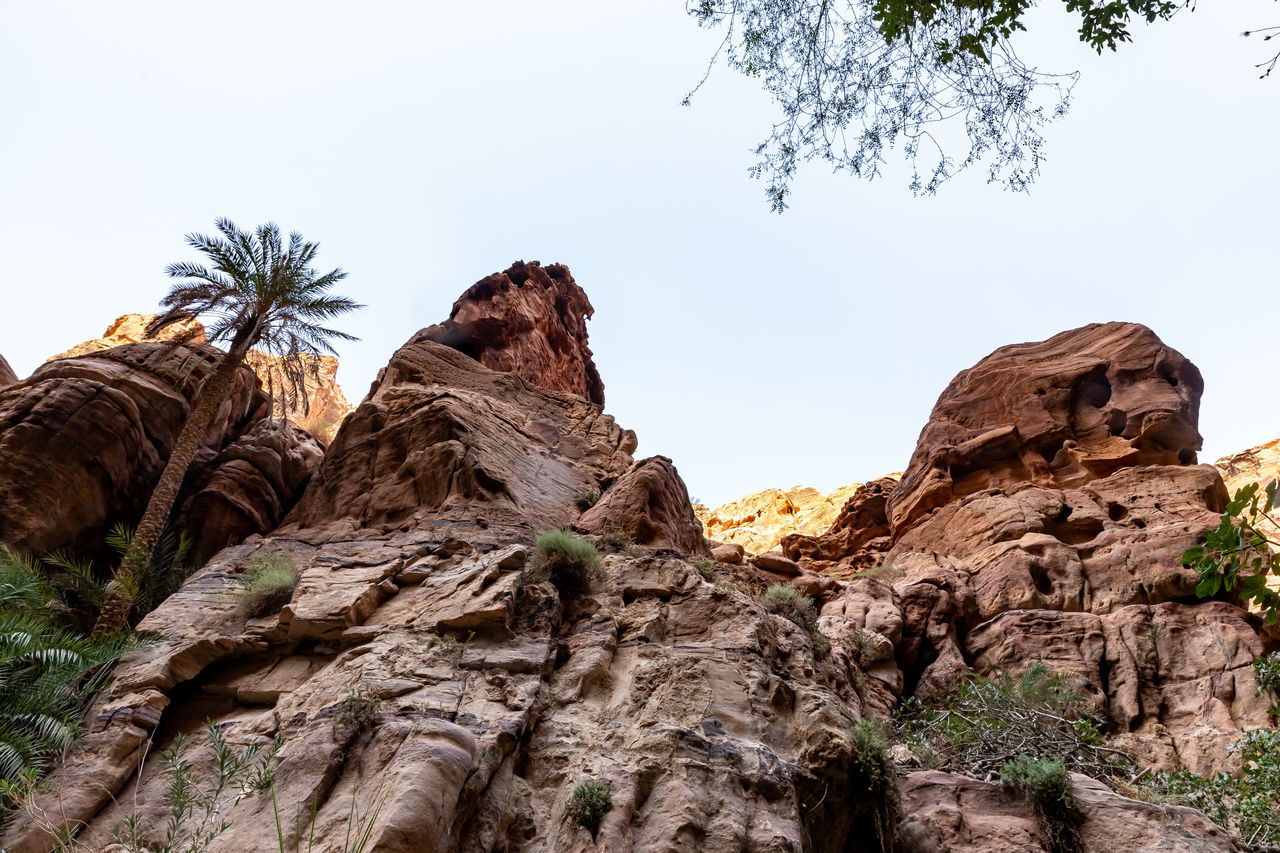 rock, rock formation, nature, sky, tree, plant, environment, landscape, scenics - nature, travel destinations, beauty in nature, land, mountain, no people, non-urban scene, travel, wilderness, tranquility, arch, wadi, geology, outdoors, terrain, natural environment, clear sky, desert, day, formation, low angle view, tranquil scene, eroded, physical geography, cliff, valley, tourism
