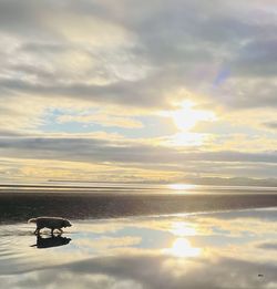 Scenic view of sunset over sea