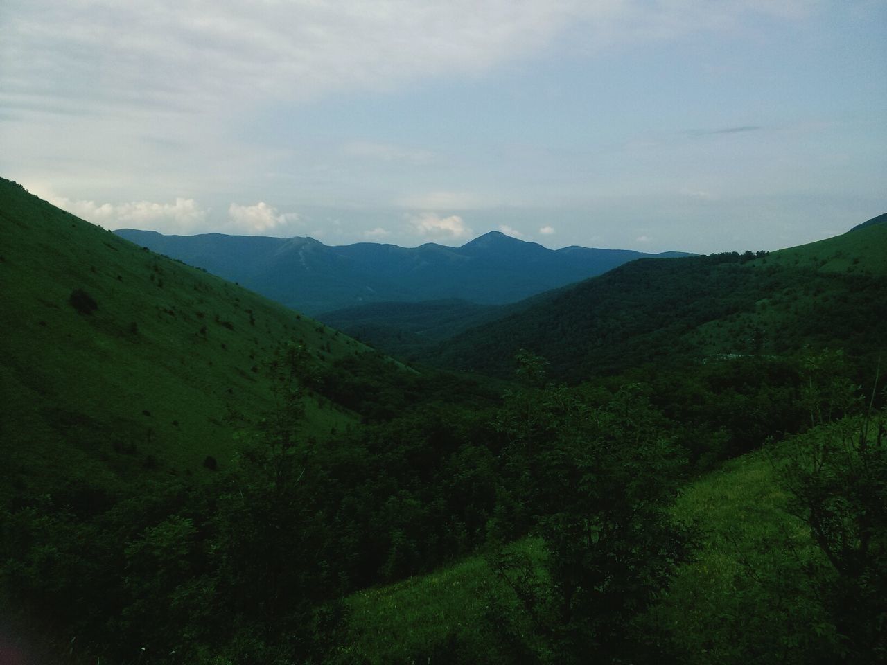 mountain, tranquil scene, mountain range, tranquility, scenics, landscape, beauty in nature, sky, green color, nature, non-urban scene, grass, idyllic, tree, remote, valley, hill, lush foliage, day, growth