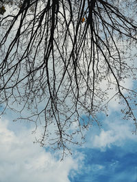 Low angle view of bare tree against sky