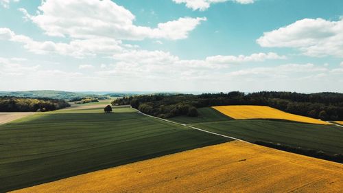 Scenic view of field against sky