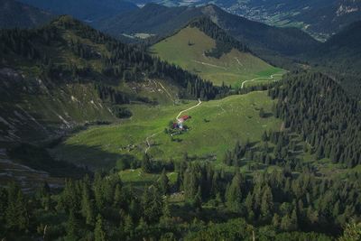 Raineralm rottach-egern small farm with nice view. high angle view of trees on field