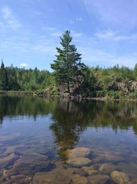 Scenic view of lake in forest against sky