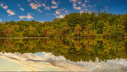Scenic view of lake by trees against sky