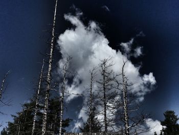 Low angle view of cloudy sky