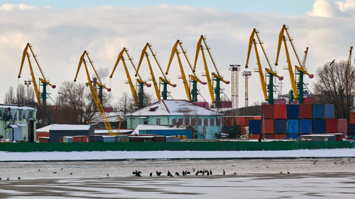 Massive harbor cranes in seaport. heavy load dockside cranes in port, cargo container yard