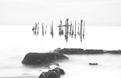 Wooden posts and rock formations in sea