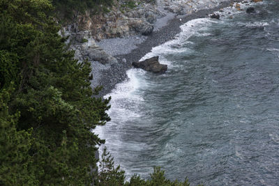 Scenic view of sea in forest