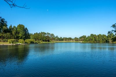 Scenic view of lake against clear blue sky