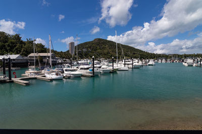 Sailboats moored in harbor against sky