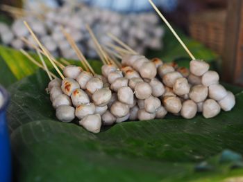 Close-up of fruits on leaves