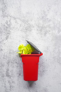 High angle view of red chili pepper on white background