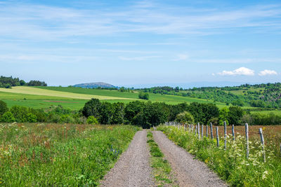 Scenic view of vineyard against sky