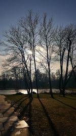 Bare trees on field against sky