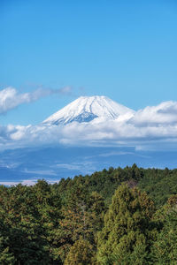 mountain