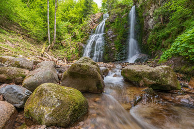 Scenic view of waterfall in forest