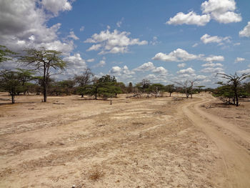 Dirt road along trees on field against sky