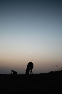 Silhouette horse on field against sky during sunset