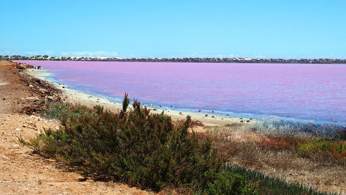 Scenic view of sea against clear blue sky