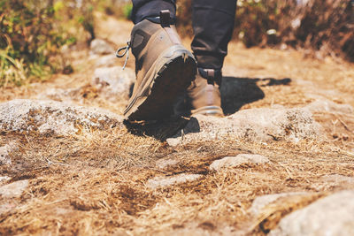 Low section of man standing on field