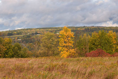 Scenic view of field against cloudy sky