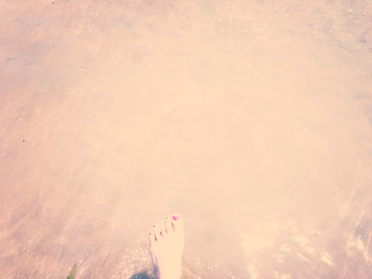 lifestyles, leisure activity, low section, beach, person, standing, water, sand, high angle view, unrecognizable person, barefoot, personal perspective, shore, human foot, vacations, sunlight