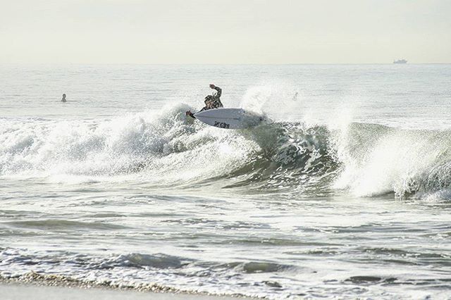 sea, water, horizon over water, bird, wave, animal themes, animals in the wild, scenics, wildlife, beauty in nature, waterfront, nature, one animal, tranquility, tranquil scene, motion, beach, surf, clear sky, one person