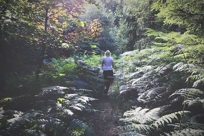 Rear view of man standing on rock in forest