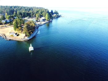 High angle view of sea and trees