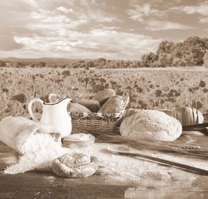 Rocks on table by field against sky