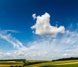 Scenic view of field against blue sky