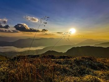 Scenic view of straw on a mountain top against sky during sunset
