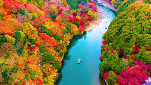 Beautiful nature view of arashiyama in autumn season along the river in kyoto, japan.