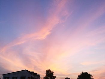 Low angle view of silhouette trees against sky